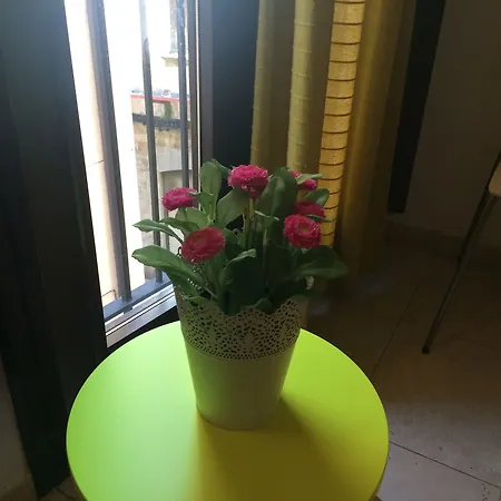 Loft Barri Vell 2d